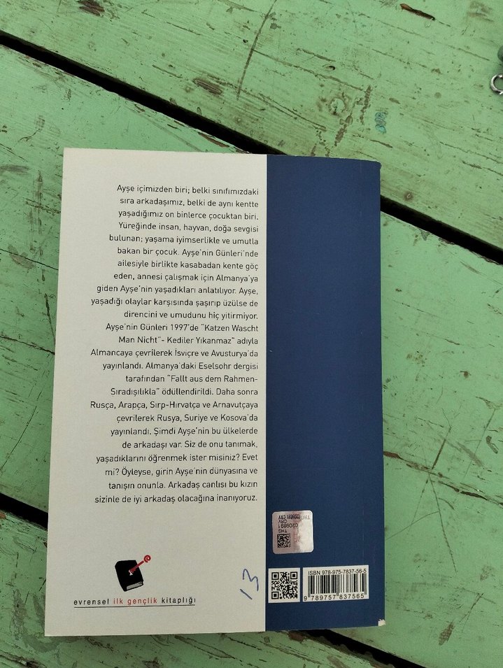 Ayşe'nin Günleri - 13. Basım Roman - Görsel 2