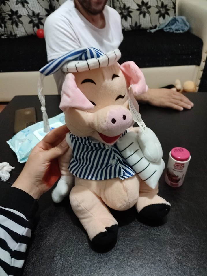 Pembe Pastel Peluş Domuz Oyuncak - Görsel 2