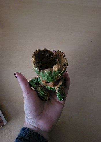 Groot Skulent Saksısı - Görsel 3