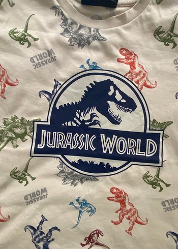 5 Yaş Beden çeşitli Renk Jurassic World Baskılı Erkek Çocuk Tişörtü