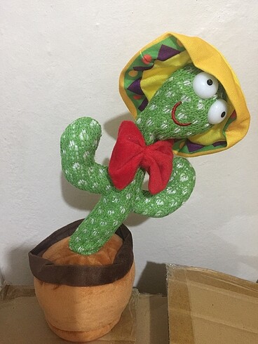 Kaktüs REZERVE