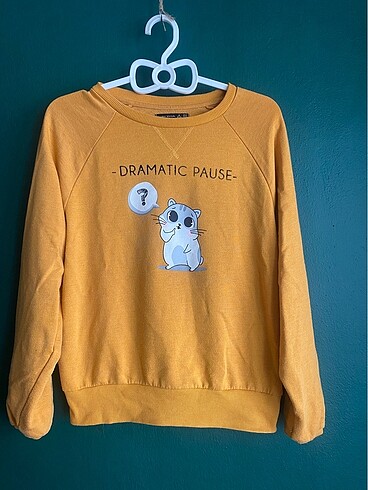 Sweatshirt