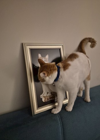 Kişiye özel tablo - Görsel 2