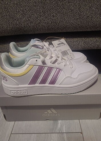Adidas hoops 3.0 w