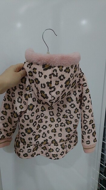 BG Store Ceket