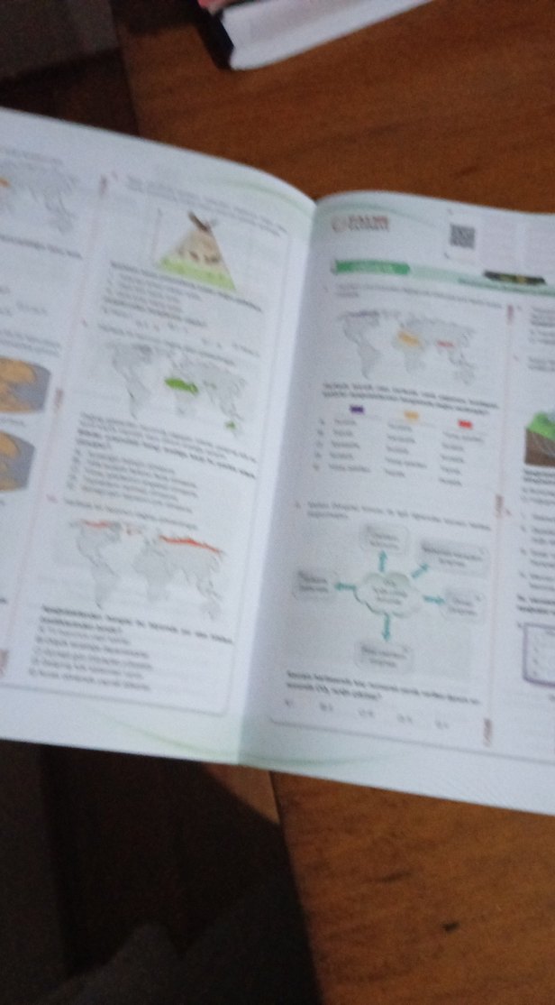 11. Sınıf Palme Eşit Ağırlık Ekstra Soru Kitabı - Görsel 2