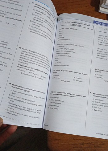 11. Sınıf Türk Dili ve Edebiyatı Soru Kitabı - Görsel 2