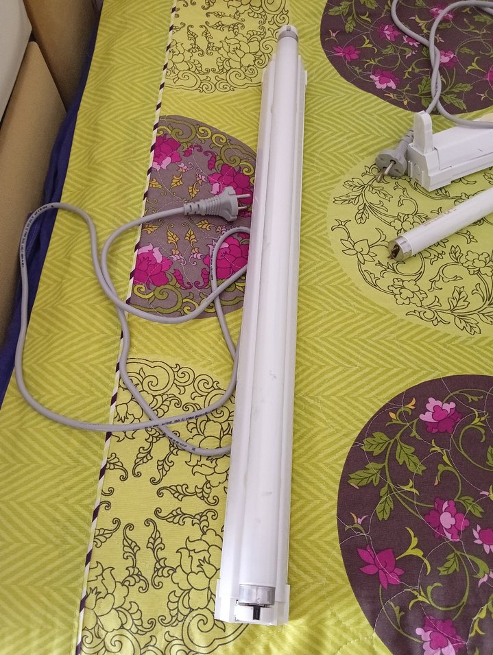 florasan lamba - Görsel 2