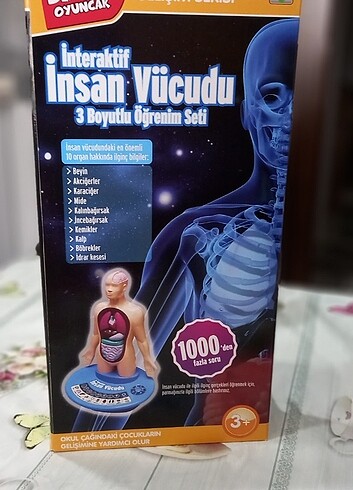 Diğer İnteraktif insan vücudu 4 adet