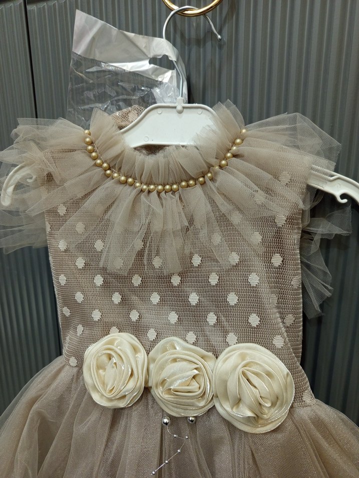 Kız Çocuk Bej Fırfırlı Nakışlı Elbise - Görsel 2