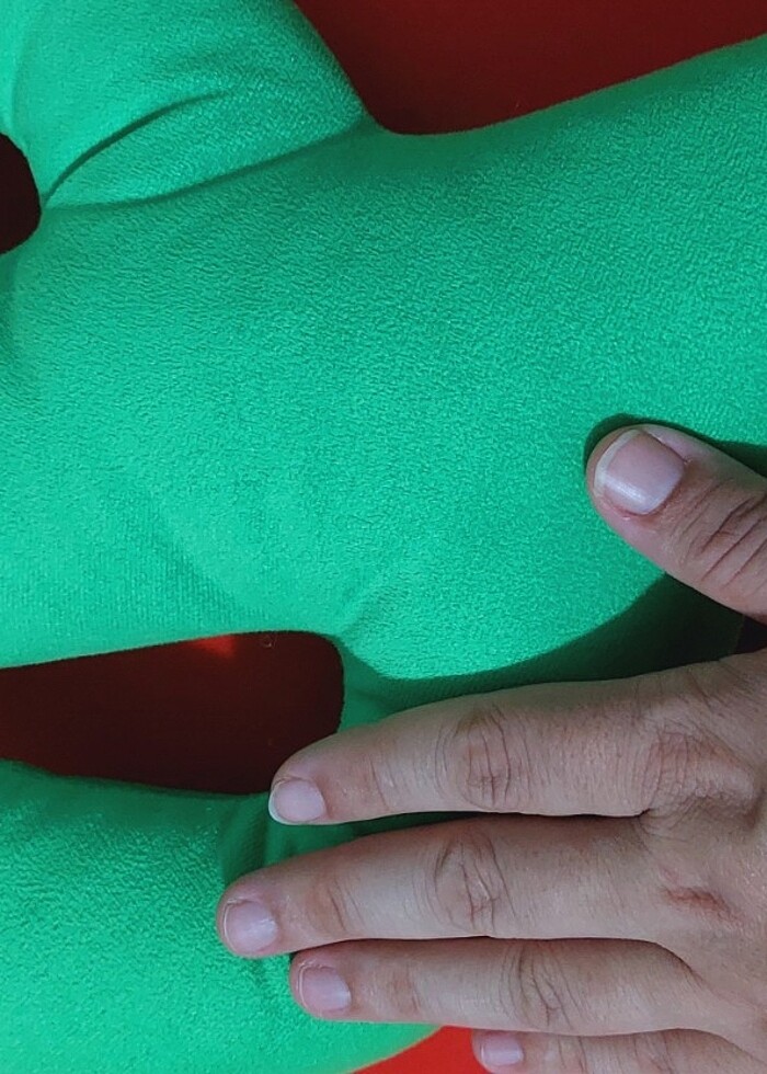 Peluş kaktüs  - Görsel 2