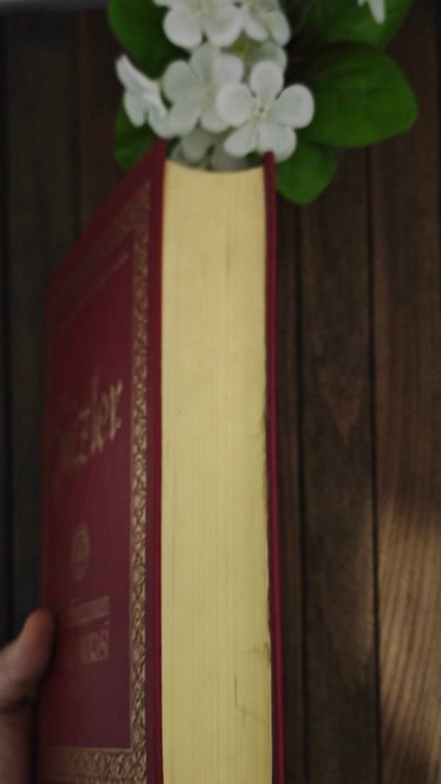 Bediüzzaman Said Nursi - Sözler Kitabı - Görsel 5