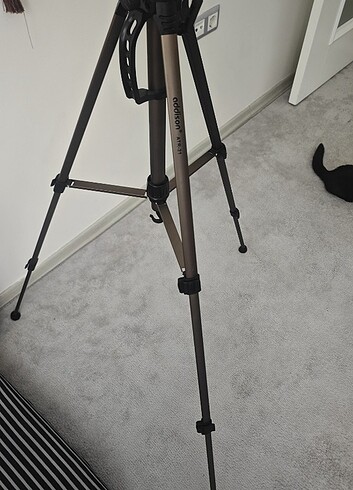 Beden Addison Tripod