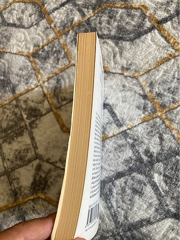 Beden SONSUZ AŞK Ian McEwan