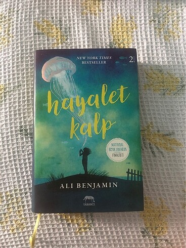 hayalet kalp kitap