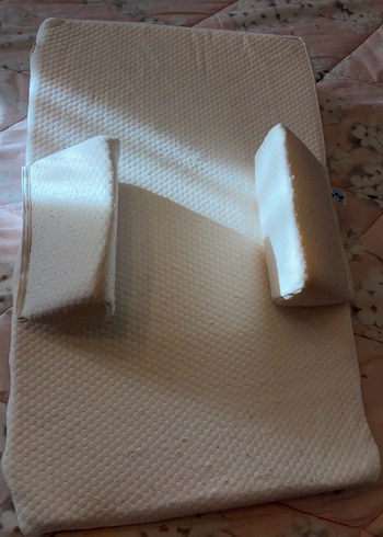 Kiraz çekirdekli reflü yatağı - Görsel 4