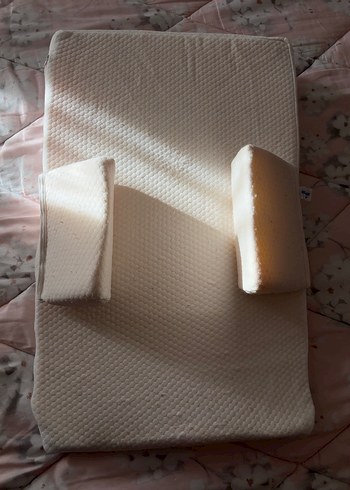 Kiraz çekirdekli reflü yatağı - Görsel 2