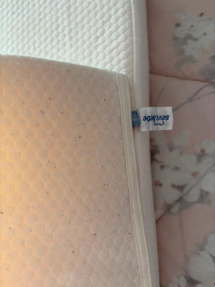 Kiraz çekirdekli reflü yatağı - Görsel 3