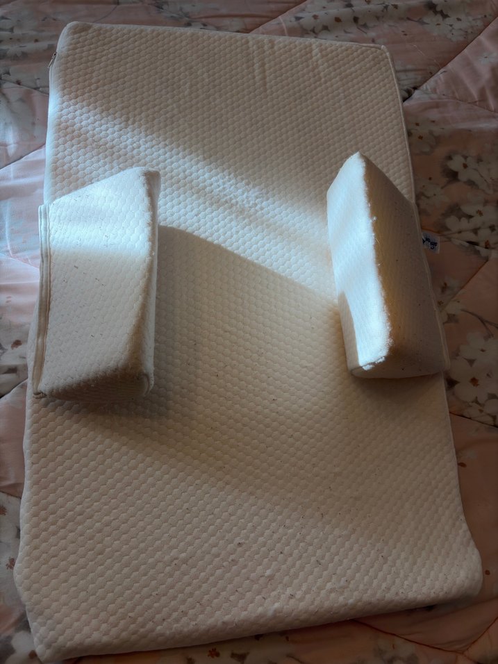 Kiraz çekirdekli reflü yatağı - Görsel 4