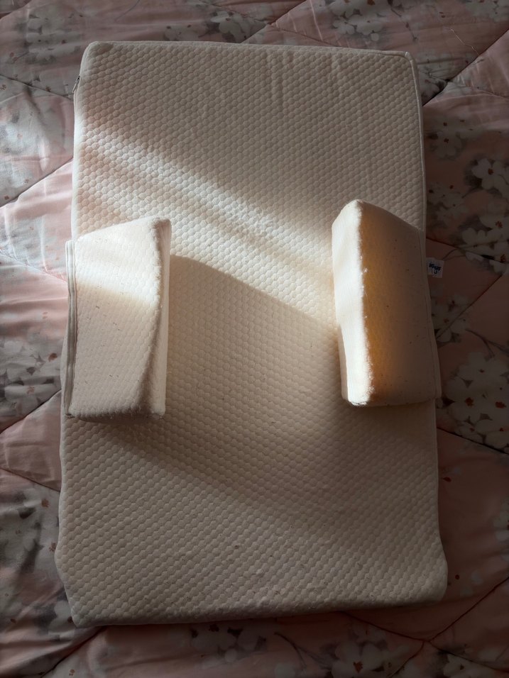 Kiraz çekirdekli reflü yatağı - Görsel 2