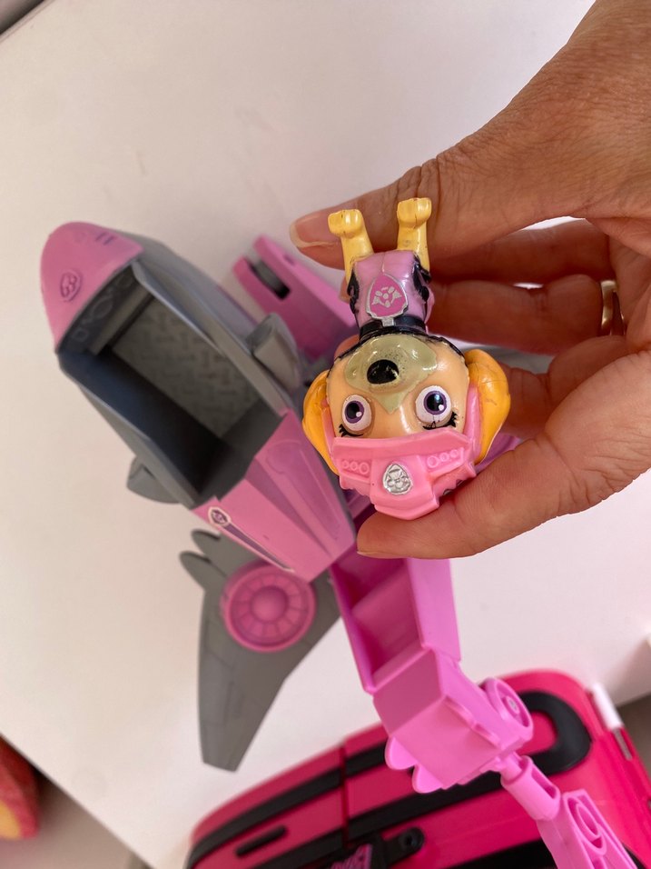 Paw petrol sky - Görsel 4