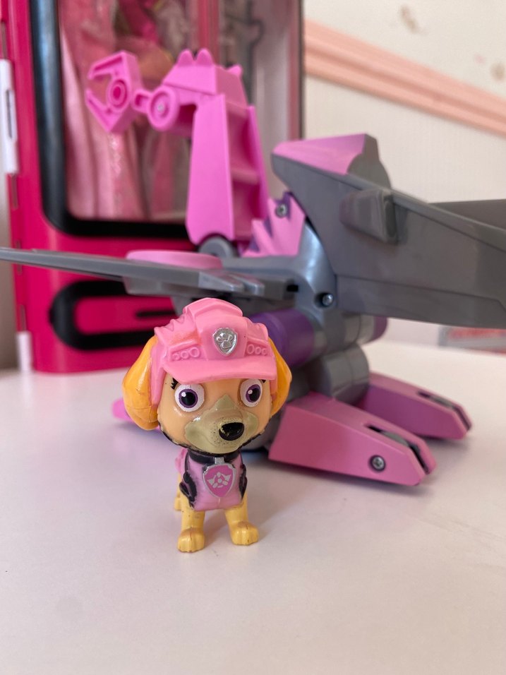 Paw petrol sky - Görsel 5