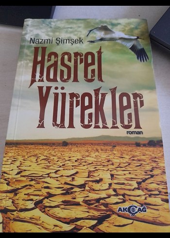 Roman kitabı