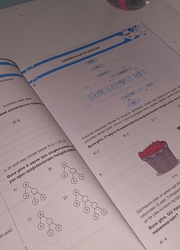  8. Sınıf test kitabi