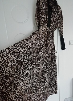 m Beden Leopar