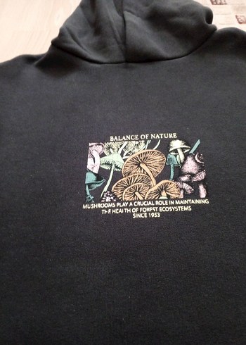 defacto kapşonlu sweatshirt - Görsel 4