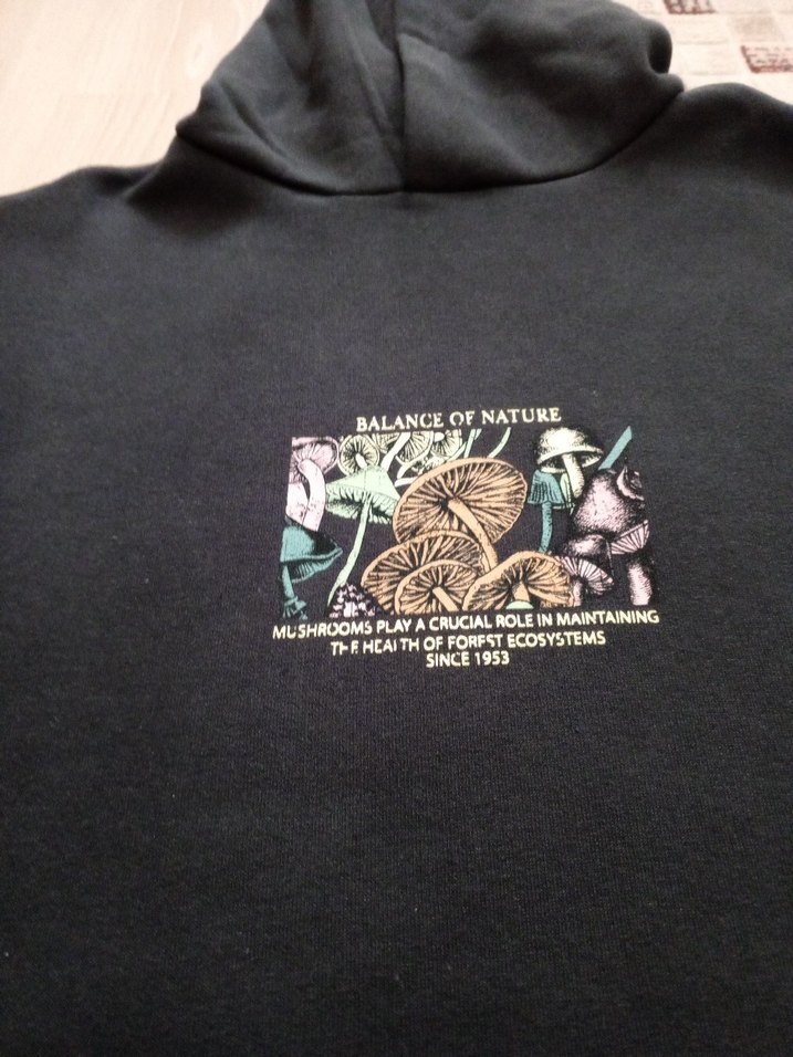 defacto kapşonlu sweatshirt - Görsel 4