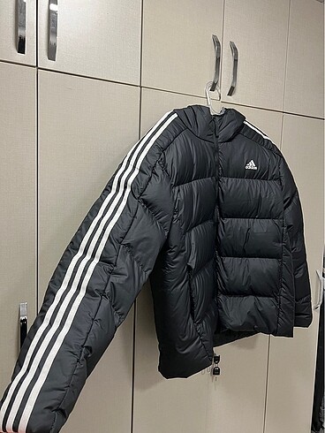 Adidas mont