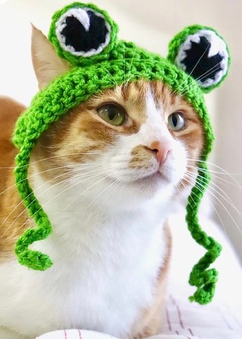 Kırmızı Örgü Bere ve Atkı kedi - Görsel 2