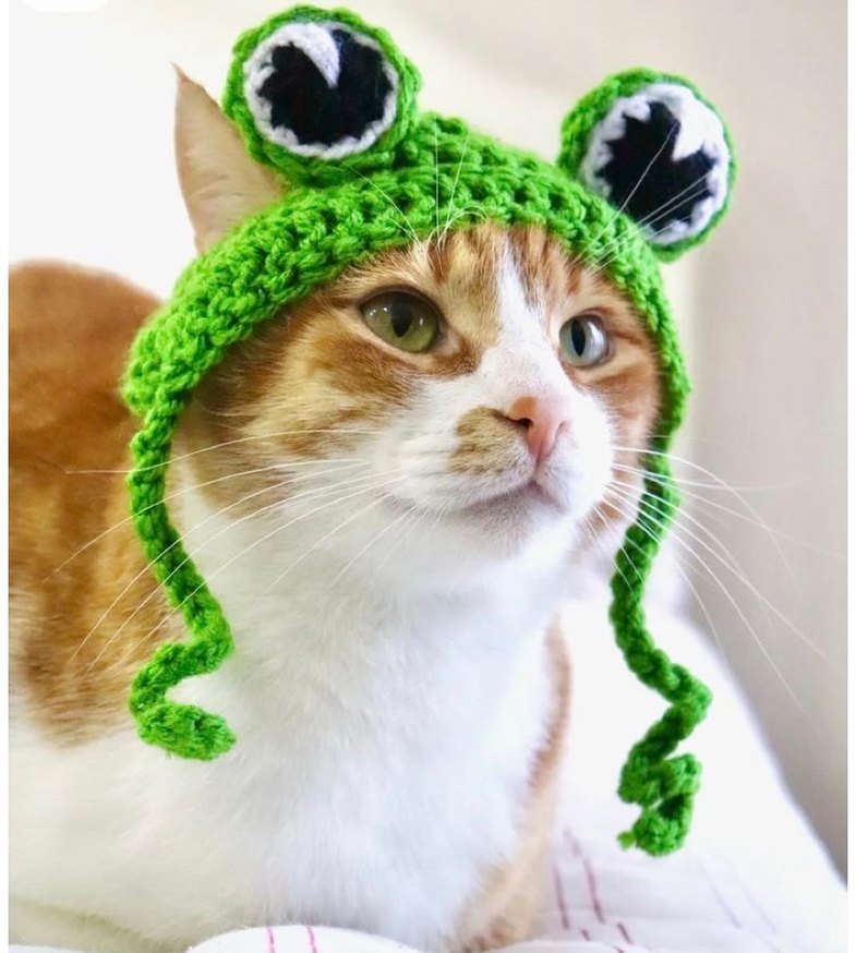 Kırmızı Örgü Bere ve Atkı kedi - Görsel 2