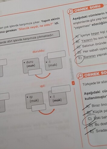 Yelda Ünal Ders Notları 2024