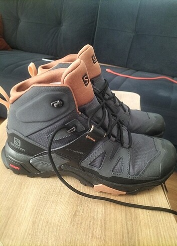 Salomon bot