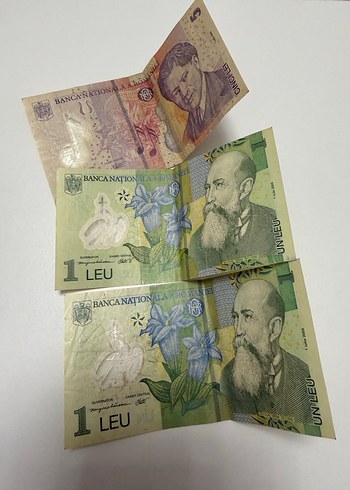 Koleksiyon - Görsel 19