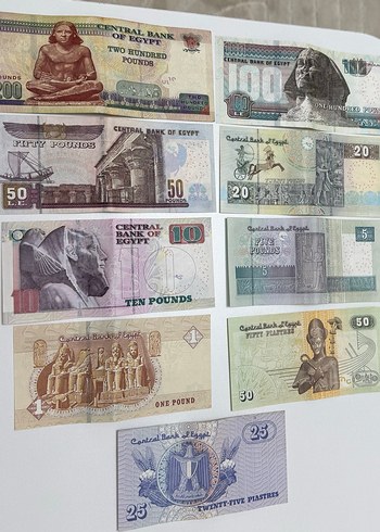 Koleksiyon - Görsel 3