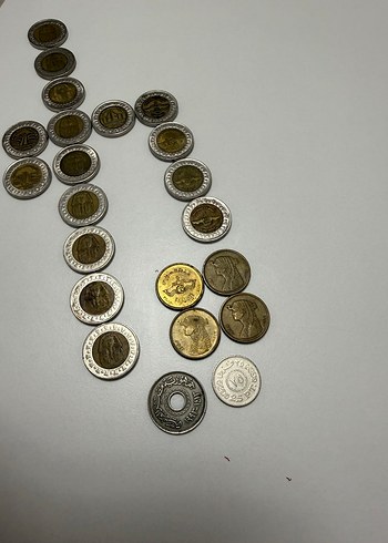 Koleksiyon - Görsel 11