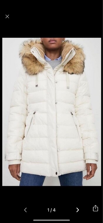 Zara mont