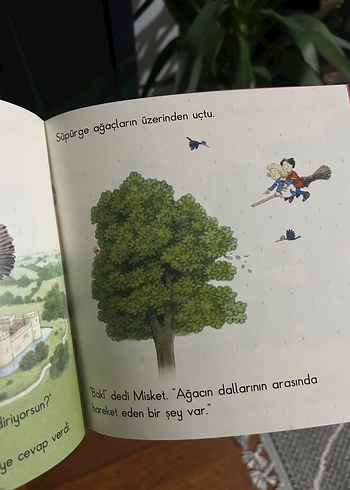 Beden Kraliyet Süpürgesi Çocuk Kitabı