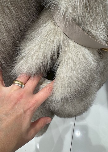 Uzun Gri Kürk Detaylı Kadın Kaban - Görsel 4