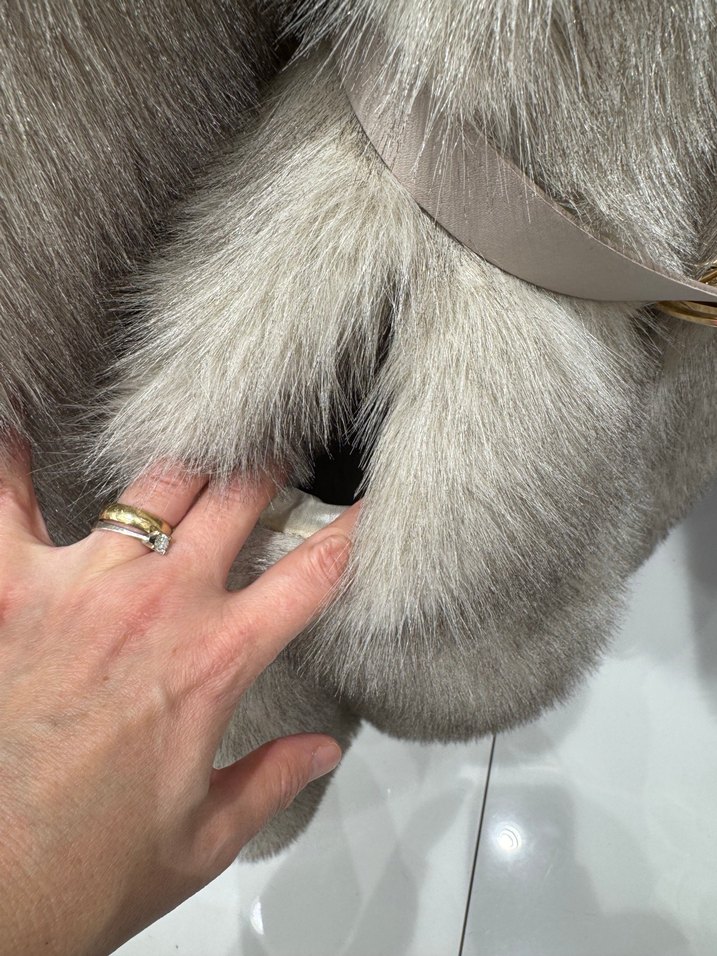 Uzun bej Kürk Detaylı Kadın Kaban - Görsel 4