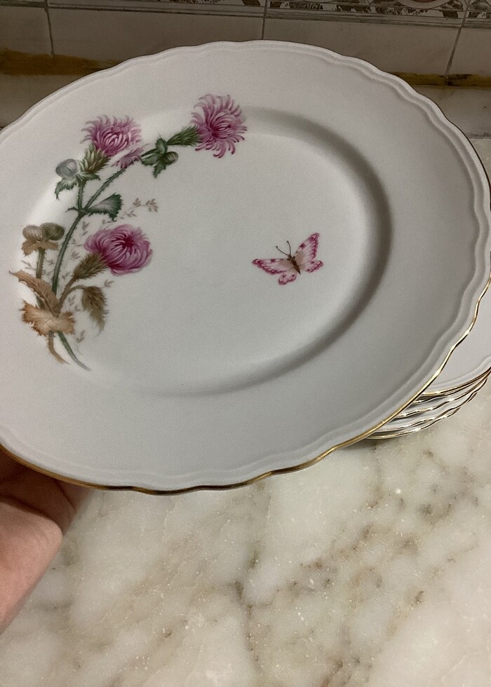 BAVARİA DAMGALI SERVİS/YEMEK TABAKLARI 6 adet - Görsel 3