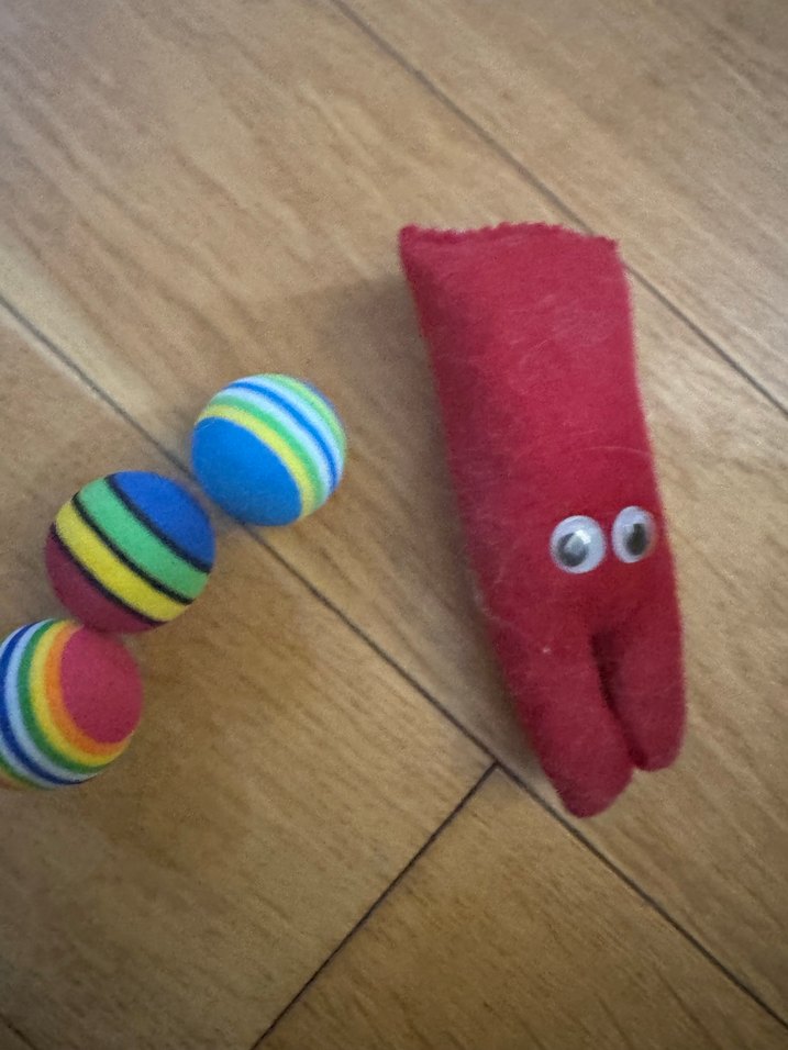 Renkli kedi topları - Görsel 2