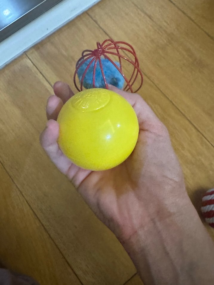 Tenkli fareli kedi oyuncakları - Görsel 5