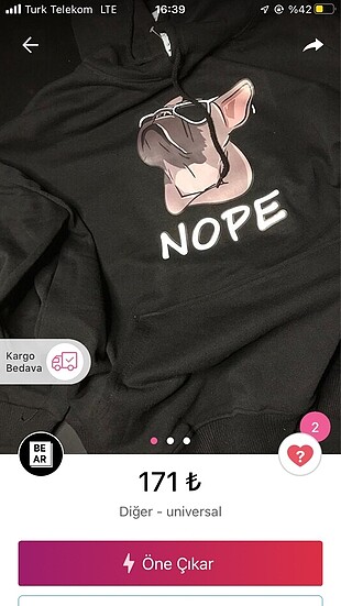 Bear sweatshirt
