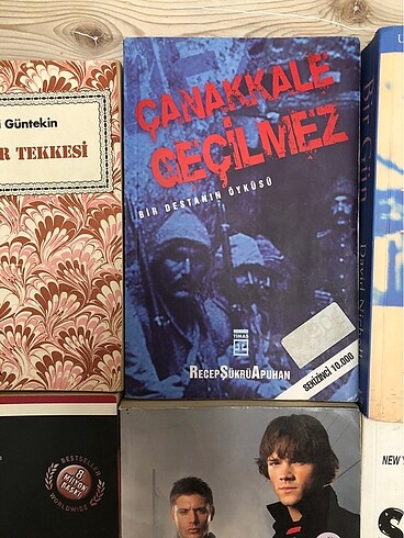 Beden Renk ROMAN KİTAPLARI