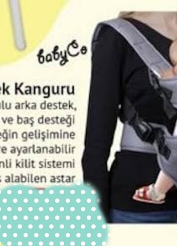 Ana kucağı kanguru