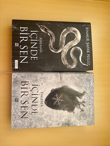 İçimde bir sen serisi (ilk 2 kitap)